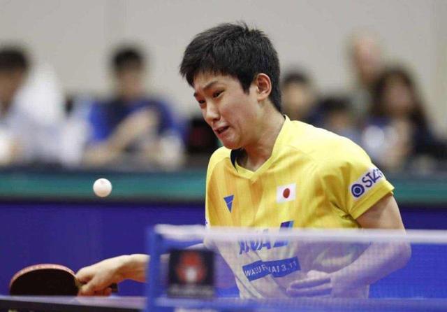 将新增包括 将新增包括